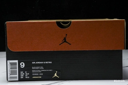 (2025) Game Flu 12 JORDAN AIR CT8013-002 0822